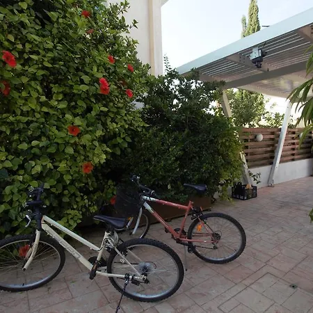 Helene 普罗塔拉斯